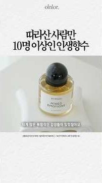 15년 차 향덕의 인생 향수 추천