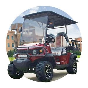 [Hot Item] Special Offers on Custom Electric Golf Carts for Hunting