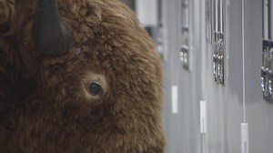 Colorado's Ryan Tedder won a Grammy with Adele -- here's where else you've seen him