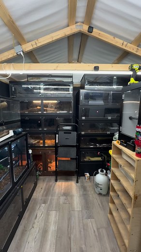 234 reactions · 9 comments | Django finally looks like he got bigger  | Dre Williams | Facebook