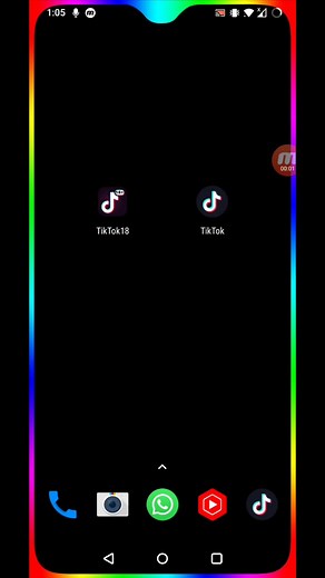 Cómo descargar TikTok para mayores de edad