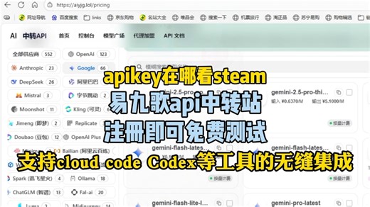 api中转站-apikey在哪看steam