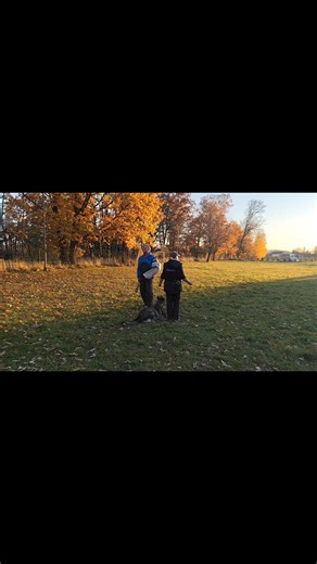 8.2K views · 35 reactions | To je spolupráce tohle!  Takové normální podzimní obrany v ZKO   Zvuk nutný | Psí škola Dalešice | Facebook