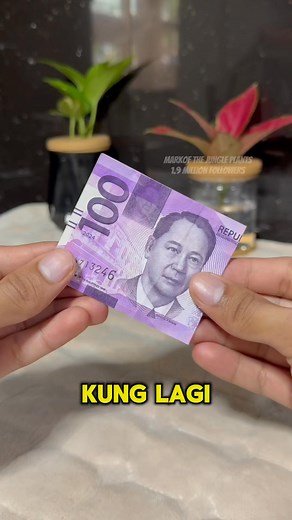 sekreto para hindi ka maubusan ng pera sa walet pamaswerte ito #pampaswerte #plantbased #gardeninspired #tips #luckycharm #wallet | Mark of the Jungle Plants