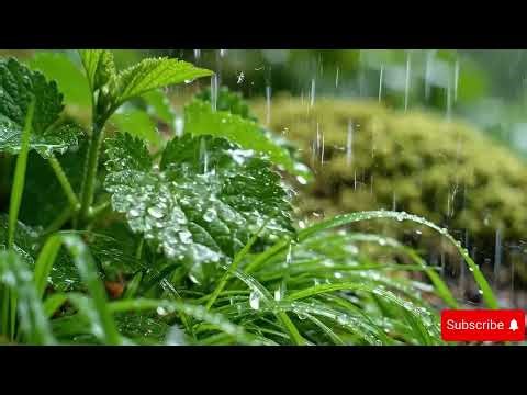 Soothing White Noise Music to Reduce Stress | Meditation | Sleep | Study | Calm the Mind