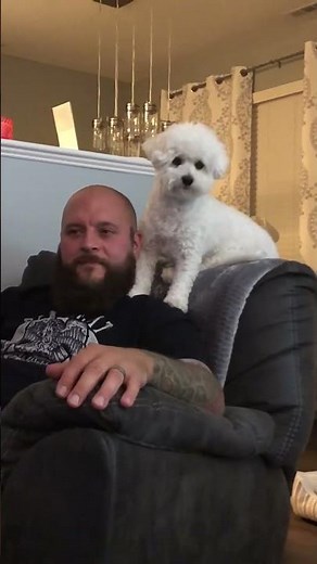 Dog Lovingly Licks Pet Parent's Head and Gives Him Kisses