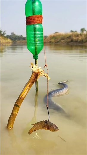 🤯 CRAZY Fish BITE! You WON'T Believe This BAIT! 🎣 #fishing #shorts