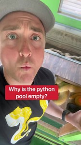 Why is the python pool empty?! 😱🐍 | Corbin Maxey