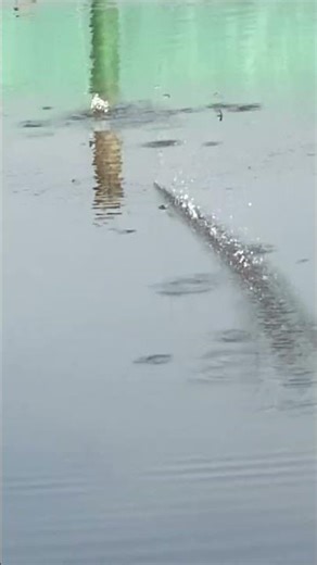 Catching a couple of fish was already great! #fishing