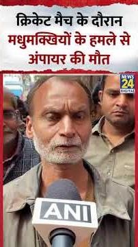 UP के Unnao में क्रिकेट मैच के दौरान अंपायर Manik Gupta की मधुमक्खियों के हमले से मौत