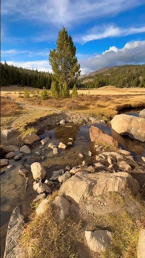 Hiking the Misty Moon Trail, Bighorn Wyoming 🏔️🇺🇸🌲 #hiking #wyoming #nature