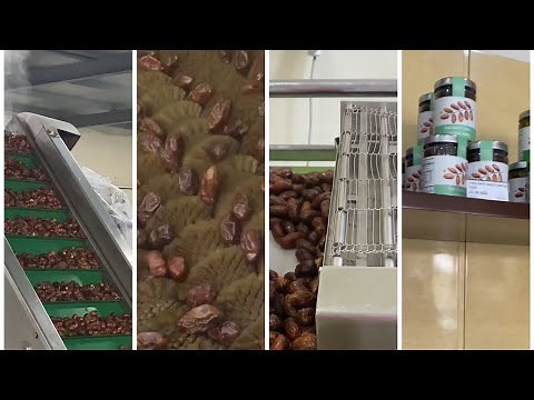 Steps in Dates Processing | How are dates fruit processed | Liwa Dates Factory