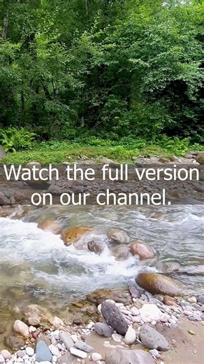 River Sounds for Deep Sleep #Nature #DeepSleep #Relaxation