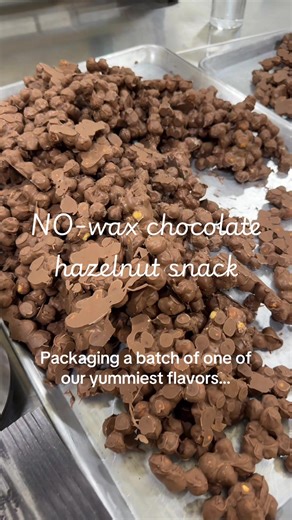 Pure Chocolate Hazelnut Clusters Without Wax