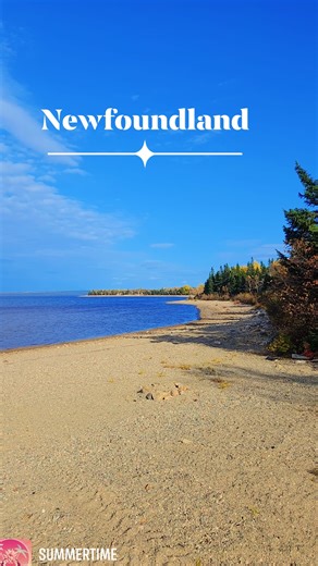 Newfoundland offers a wealth of unique experiences. Here is a distinct thing you could do in Newfoundland in 2025 that go beyond the typical tourist attractions. Immerse yourself in a remote outport and experience traditional "bayman" life: While many visit St. John's or Gros Morne, truly unique experiences can be found in the smaller, more isolated coastal communities, often referred to as "outports." Consider spending time in a place like the Burin Peninsula or Fogo Island. What makes it uniqu