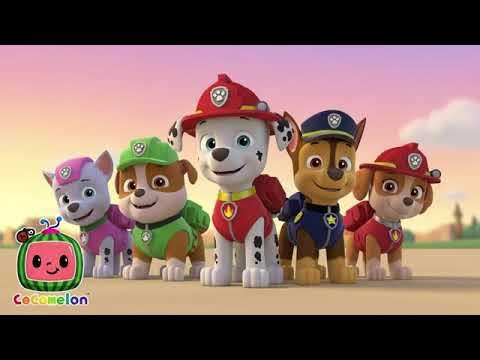 Mighty Pups Christmas Dump