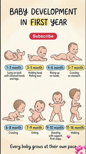Baby Development in the First Year