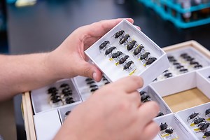 NSF, ASU continue partnership to house national biorepository