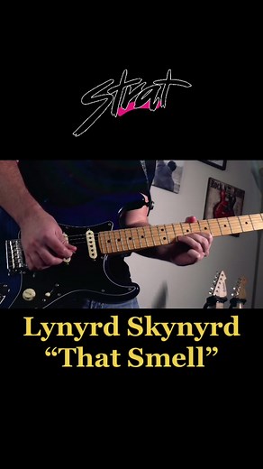Lynyrd Skynyrd “That Smell” pt1 #christaylor #singer #guitar #foryou #lynyrdskynyrd #thatsmell #cover