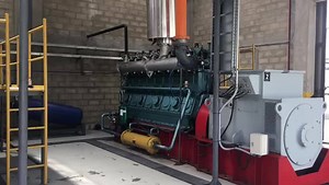 Syngas Generator/cogeneration System/biomass Gasification Power Generator