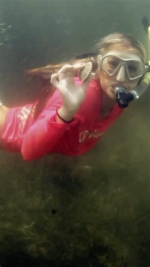 Dive into the thrill on Florida’s Adventure Coast this summer!  The...