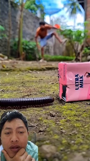 RUMAH KOTAK SUSU BUAT KAKI SERIBU !? DIA SUKA ADA MANISNYA‼️ dubbing miwanda tanz