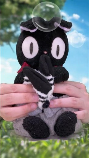 Plush Cat Discovers Bubble Socks—So Mysterious! 😹💕