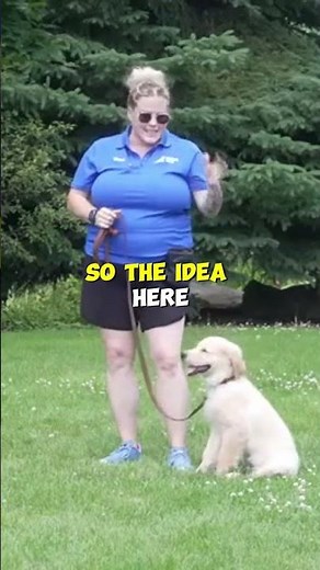 Practice Your Leash Walking In A CONTROLLED Environment!