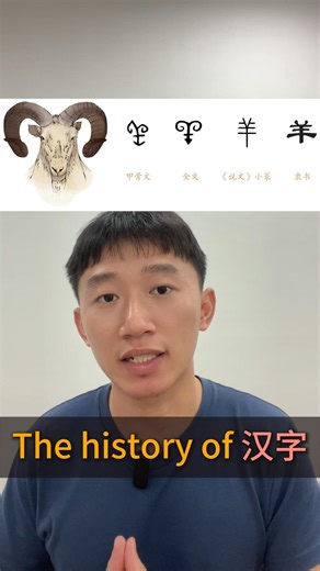 Chinese with David on Instagram: "The history of Chinese characters Three thousand years ago, during the Shang Dynasty, shamans carved Chinese characters onto turtle shells. These were called 甲骨文 (Oracle Bone Script) the earliest form of Chinese writing. #learnchinese #mandarin #hsk #hsk1 #chineselanguage #chineseculture #mandarinchinese #hanzipro #chinesecharacters"