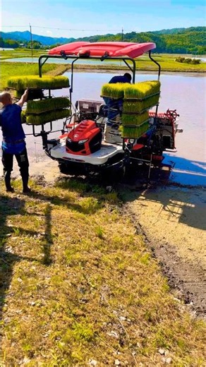 Kubota NW8S GS 田植機 田植え作業