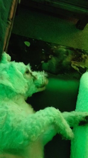 Kevin Peters on Reels | Facebook