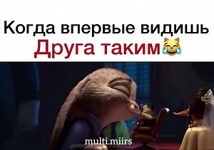 Zootopia Cartoon Comedy Compilation