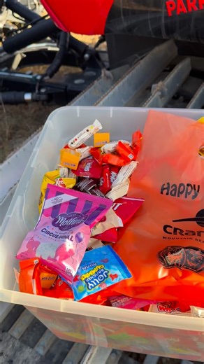 The candy’s stocked, the trunks are ready, and we’re so excited to kick off Cranmore’s first Trunk or Treat TOMORROW! Join us from 4-7pm for an evening full of sweets, smiles, and Halloween spirit, plus a custom Cranmore bag for the first 250 trick-or-treaters! 👻🎃🍭 @skinewhampshire #trunkortreat #mycranmore #communityevents #nhevents | Cranmore Mountain Resort