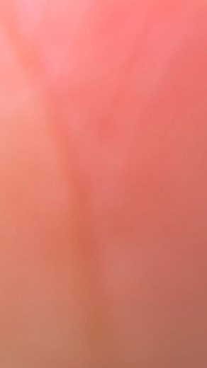 750 reactions · 45 shares | Cebu Sulit Promo Tour Package Try out our...