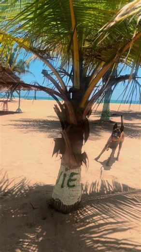 Palmeraie Beach San Pedro ouverture bientôt | Plage Palmeraie