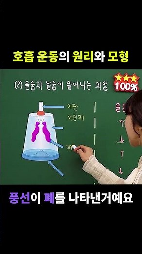 숨은 어떻게 쉬어지는지? 숨 쉬어지는 원리 알려드려요 #들숨 #날숨 #호흡 운동 #호흡 운동의 원리 #호흡 운동 모형