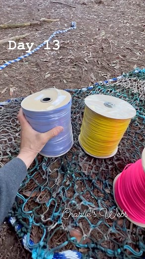Charlies Webs on Instagram: "Murcury web. Day 13 #treenet #spacenet #colorfull #paracord #weaving #handmade #tensile #tention"