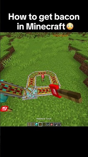 Bacon in Minecraft Tutorial 🤔