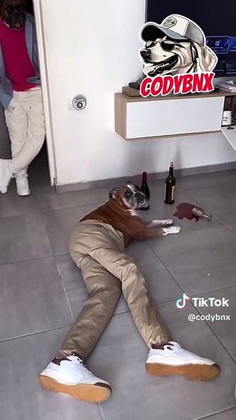 Codybnx (@codybnx)’s videos with original sound - Codybnx