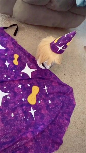 If this blows up I’ll make a pt2 of the process of how I made my hat or the sleeves and collar :) #TheReplay #fyp #foryoupage #cosplay #spongebob