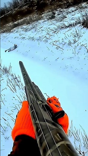 "Rabbit Hunting Master Shot | Extreme Forest Chase | Реальная Охота"#RabbitHunting #HuntingLife