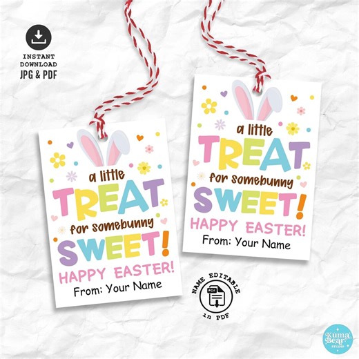 Easter Gift Tags Printable, Editable Classroom Treats Bunny Favor Labels - Etsy
