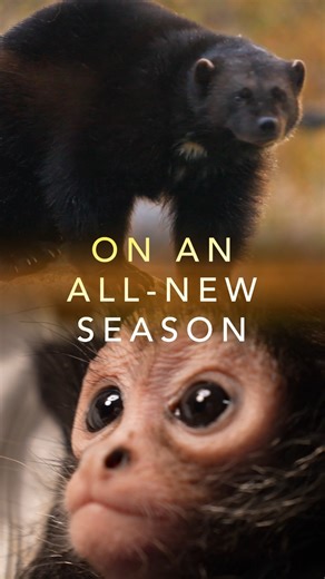 8.3K reactions · 497 shares | New adventures are on the way! An...