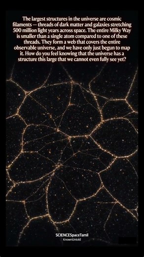 The Cosmic Web: Mapping the Largest Structures in the Universe #shorts