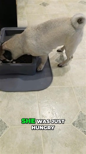 She keeps biting people!