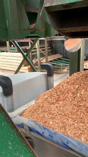 Blair Rambaud (@bjrambo2)’s videos with original sound - Trev