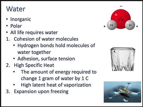 Physiology Ch 2 Chemical Composition of the Body