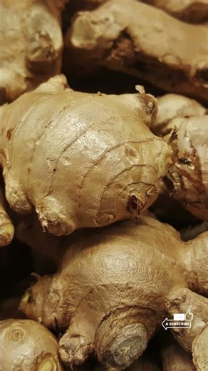 Profitable Ginger Farming shorts #gingerfarming #gingercultivation, #profitablefarming
