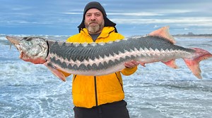 46K views · 1.3K reactions | Sturgeon Dish for Fish Lovers! Cooking a Rich Fish Soup for Gourmet | Cooking | Facebook