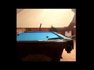 Teen Performs Amazing Pool Trickshots